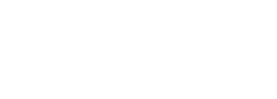 Allison Point Logo